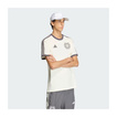 Koszulka t-shirt Silver Arrows Icon Mercedes AMG F1 2026