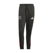 Spodnie DNA Audi Revolut F1 2026