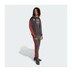 Spodnie DNA Audi Revolut F1 2026