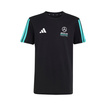 Koszulka t-shirt dziecięca DNA Logo Mercedes AMG F1 2026 czarna