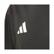 Koszulka t-shirt dziecięca DNA Audi Revolut F1 2026