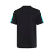 Koszulka t-shirt dziecięca DNA Logo Mercedes AMG F1 2026 czarna