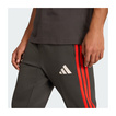 Spodnie DNA Audi Revolut F1 2026