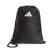 Worek DNA Audi Revolut F1 2026