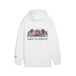 Bluza męska DTS Hoody Relaxed biała Formula 1 2025