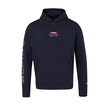 Bluza z kapturem Graphic Alpine F1 2026