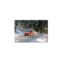 Fotoobraz Harri Rovanperä / Risto Pietiläinen - Peugeot 206 WRC 60 x 40 cm