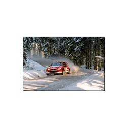 Fotoobraz Harri Rovanperä / Risto Pietiläinen - Peugeot 206 WRC 90 x 60 cm
