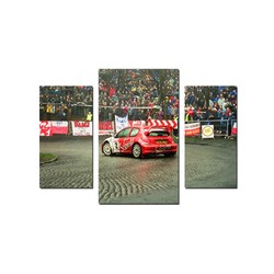 Fotoobraz Krzysztof Hołowczyc / Maciej Wisławski - Peugeot 206 WRC 180 x 100 cm