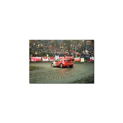 Fotoobraz Krzysztof Hołowczyc / Maciej Wisławski - Peugeot 206 WRC 60 x 40 cm