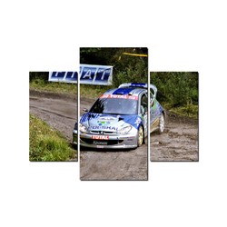 Fotoobraz Leszek Kuzaj / Erwin Mombaerts - Peugeot 206 WRC 180 x 100 cm