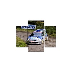 Fotoobraz Leszek Kuzaj / Erwin Mombaerts Peugeot 206 WRC o wymiarach 90 x 50 cm