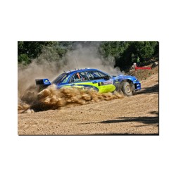 Fotoobraz Petter Solberg / Phil Mills - Subaru Impreza S10 WRC 120 x 80 cm
