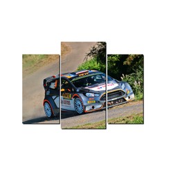 Fotoobraz Robert Kubica / Maciej Szczepaniak - Ford Fiesta WRC 180 x 100 cm