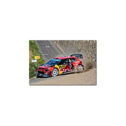 Fotoobraz Sebastien Ogier / Julien Ingassia - Citroen C3 WRC 60 x 40 cm